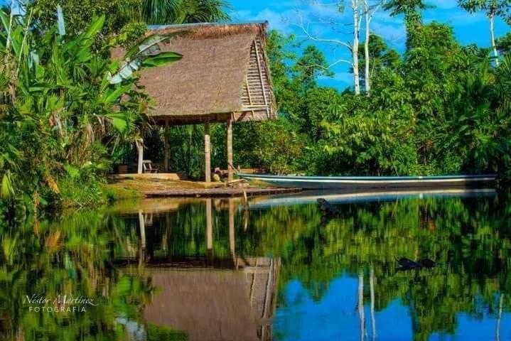 Misahualli Laguna Paikawe B&B Extérieur photo