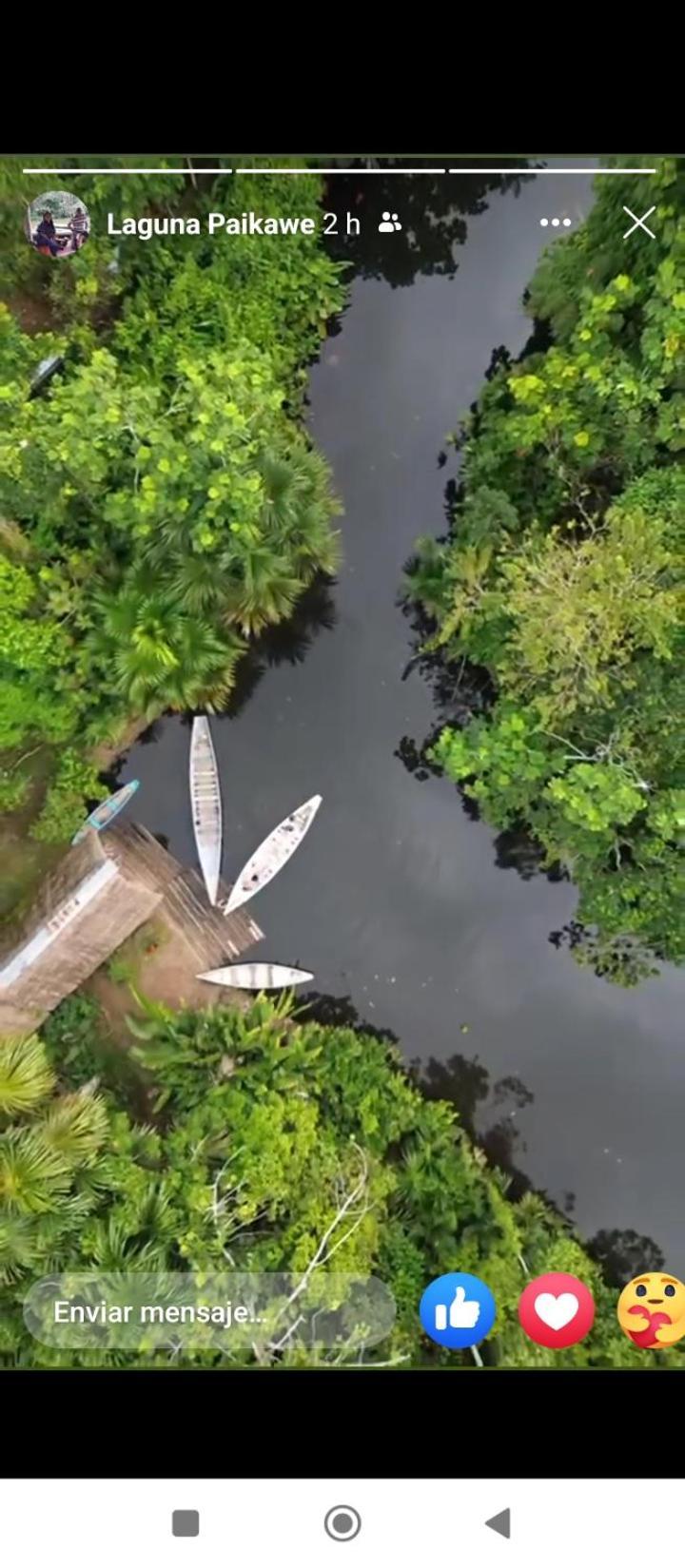 Misahualli Laguna Paikawe B&B Extérieur photo