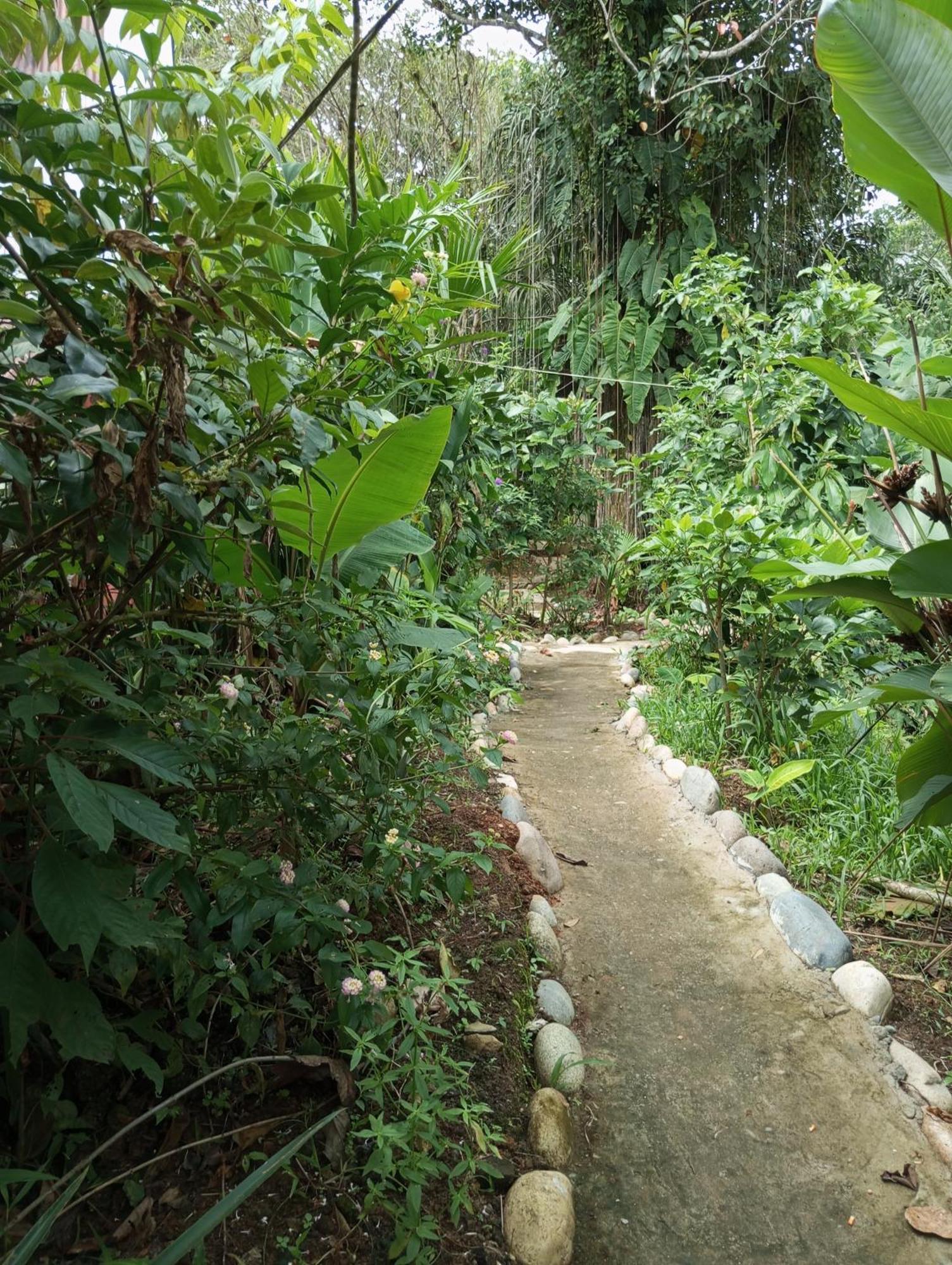 Misahualli Laguna Paikawe B&B Extérieur photo