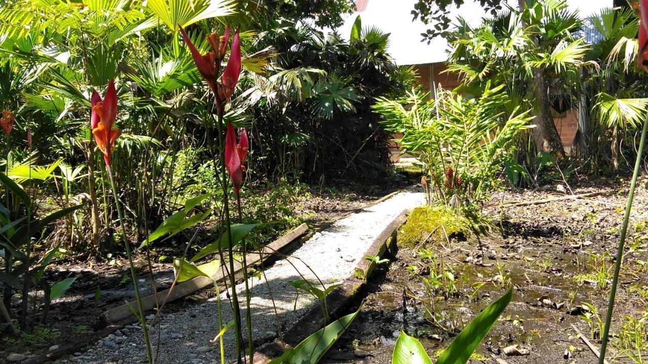 Misahualli Laguna Paikawe B&B Extérieur photo