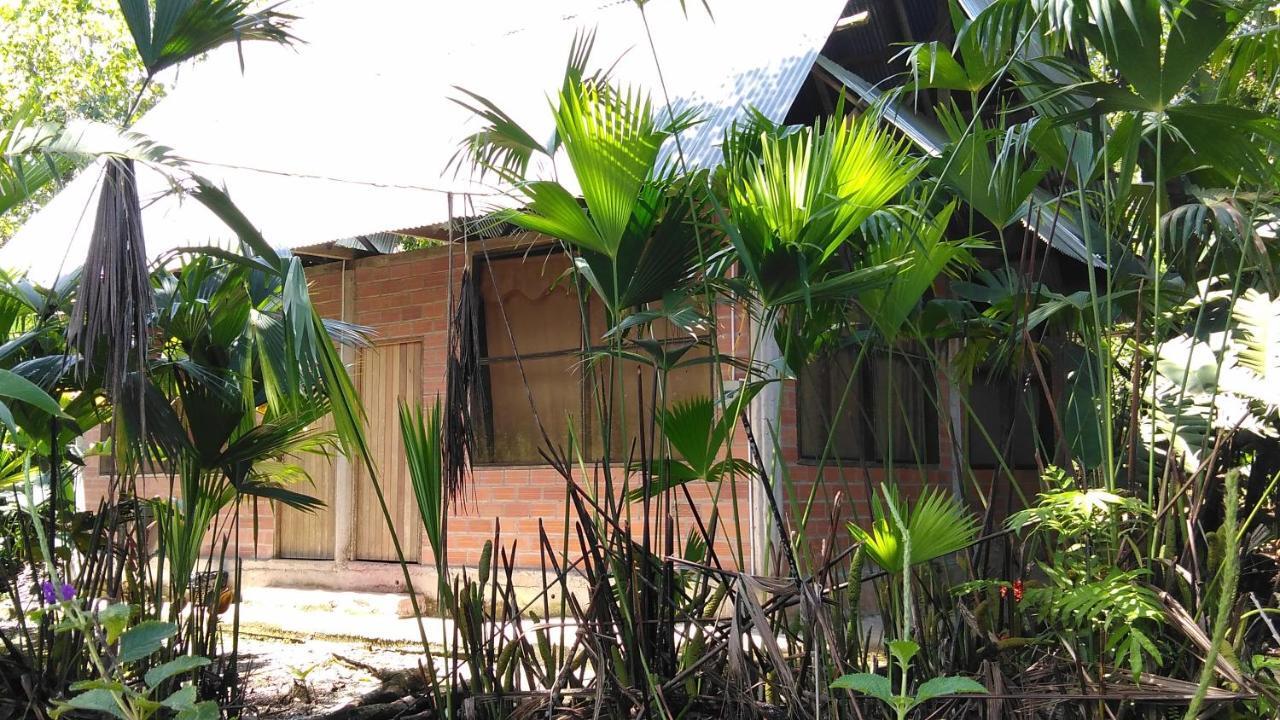 Misahualli Laguna Paikawe B&B Extérieur photo