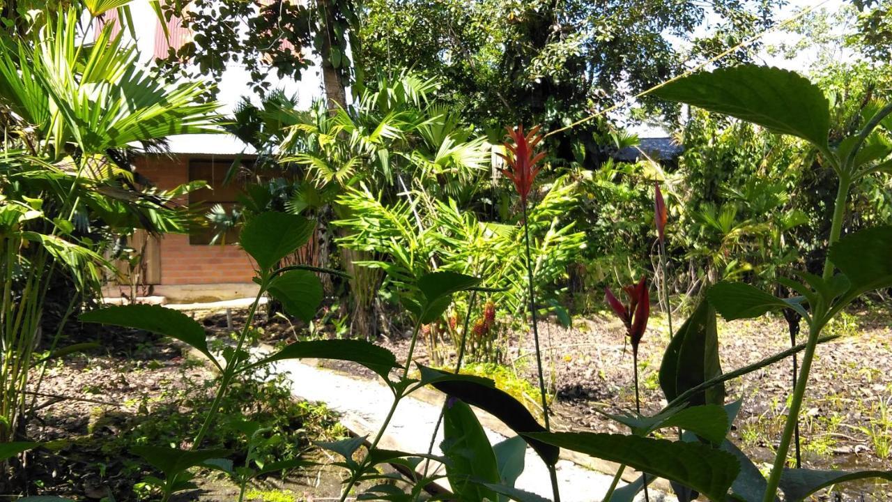 Misahualli Laguna Paikawe B&B Extérieur photo